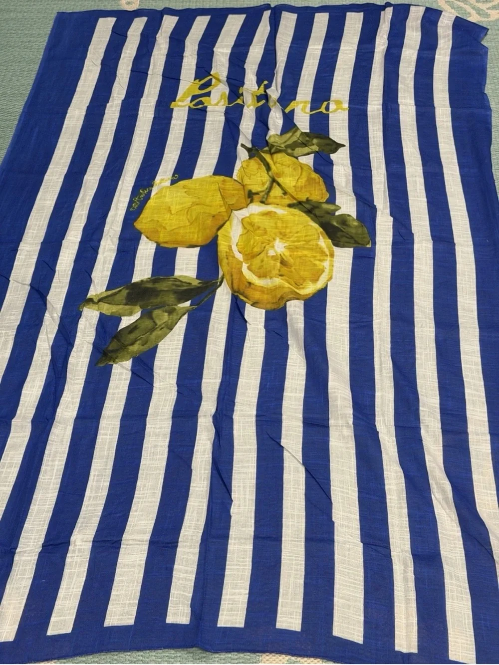 Antica Sartoria 2026 Striped Blue & White Lemon Scarf Wrap NWT